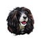 Russian Spaniel dog portrait isolated on white. Digital art illustration for web, t-shirt print and puppy food cover design.