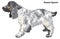 Russian Spaniel vector illustration