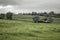 Russian tanks T-34 from World War II, Slovakia