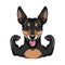Russian Toy Terrier dog. Muscles. Dog sportsman. Dog portrrait. Vector.
