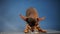 Russian toy terrier eats food on a blue background