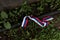 Russian tricolor flag ribbon on the ground