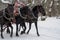 The Russian Troika of horses goes on the snow road in winter day