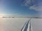 Russian winter , nature , field , track, skis, snowmobile trail, blue sky, clean air, frost