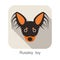Russkiy roy dog face portrait flat icon design, vector illustration