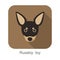 Russkiy roy dog face portrait flat icon design, vector illustration