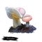 Russula betularum or birch brittlegill mushroom closeup digital art illustration. Boletus has pinky white cap with central