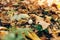 Russula mushroom in green grass and autumn leaves in sunny woods. Mushroom hunting in autumn forest. Russulaceae. Fungi