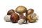 Russula mushrooms