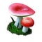 Russula paludosa mushroom closeup digital art illustration. Boletus cap convex to depressed and bright pink coloured