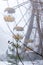 Rust ferris wheel attraction in fog behind trees in winter abandoned amusement park