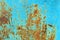 Rust and grunge aqua blue metal surface texture