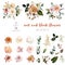 Rust orange and blush pink antique rose, beige and pale flowers, creamy dahlia