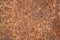 Rust red orange sheet metal background