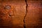 Rust Stained Concrete 1