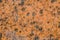 Rust texture as metal plate on the truck background.