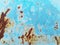 Rust textures corroded oxidize colorful surface metal sheet plate pattern background