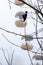 Rust yellow ferris wheel attraction in fog in winter abandoned amusement park overgrown with trees