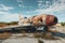 A rusted airplane sits on top of a vast field, abandoned and weathered by time, An old rusty fighter aircraft forgotten in a