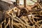 Rusted anchor with worn ropes on beach in Zanzibar