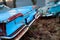 Rusted antique blue cars in field