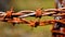 Rusted Barbed Wire