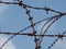 Rusted barbed wire with sky background
