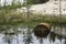 Rusted barrel in the water.