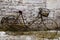 Rusted Bicycle - Durbuy - Belgium