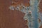 Rusted blue painted metal wall. Rusty metal background with streaks of rust