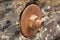 Rusted bolt with nut. Grunge industrial construction