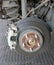 The Rusted Brake Disk Of A Car
