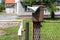 Rusted broken mailbox with faded newspaper mounted on wooden pole behind wire fence with abandoned family house in background