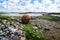 A rusted buoy laying on the shore.