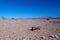 Rusted Can in the Desert