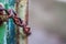 A rusted chain against rusted gate.