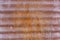 Rusted Corrugated Steel Panel