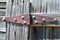 Rusted double hinge on wooden door