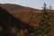 Rusted forest on the hills in autumn sunset