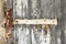 Rusted hinge on old door