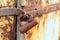 Rusted lock on weathered door