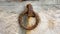 Rusted metal hook with ring on stone wall