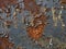 Rusted metal signboard with peeling paint and illegible inscription, close-up