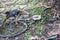 Rusted old discarded bicycle lying on ground misshapen and broken