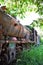 Rusted old steam locomotive