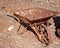 Rusted Old Vintage Wheelbarrow