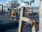 Rusted outdoor weight rack empty at public gym with workout equipment in background