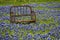 Rusted Seat Frame in Field of Blue Bonnets