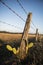 Rusted sharp timber and metal barb wire fence.