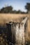 Rusted sharp timber and metal barb wire fence.